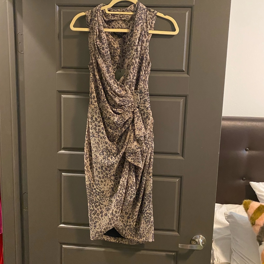 Nwt Allsaints Dress